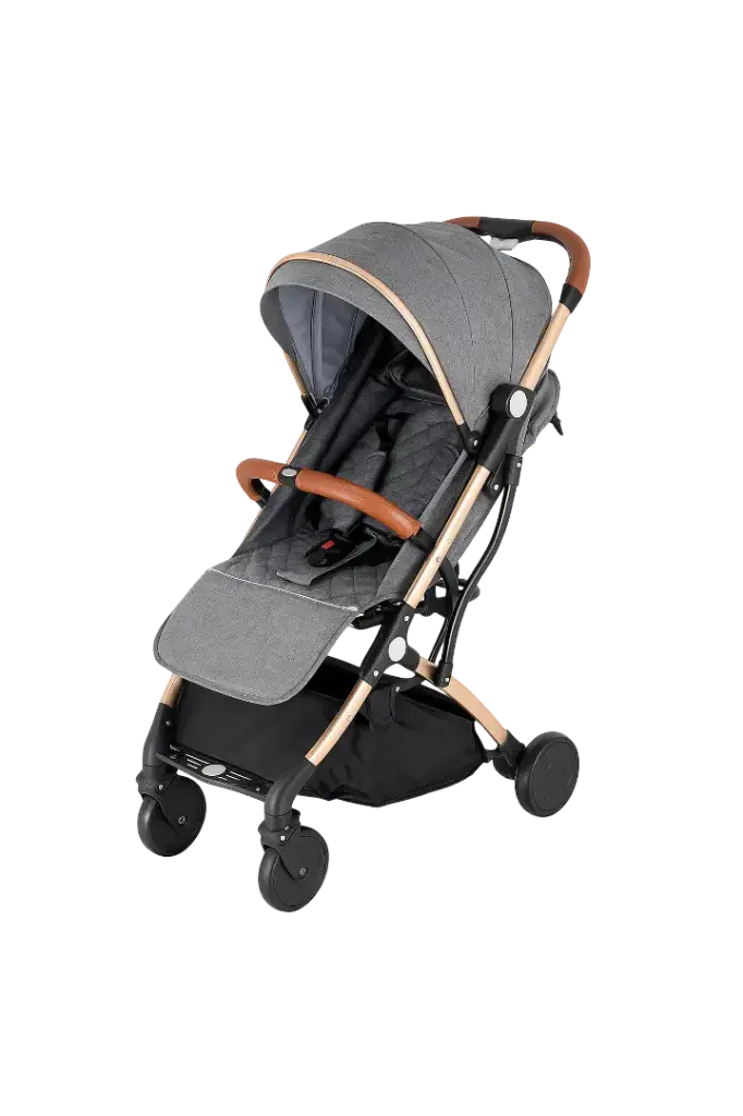Stroller S666