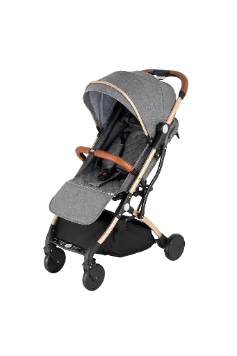 [5228] Stroller S666