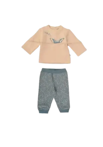 [10808] فراشة 740-24