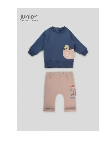 [2895] 2pcs set Little Dino293-24