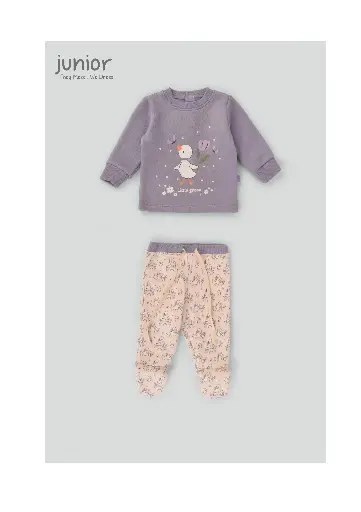 [2919] 2pcs set Little Gosse751-24