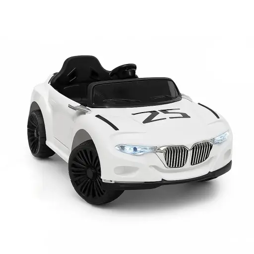 [5281] Electric Car 107731/182